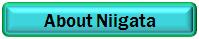 niigataa